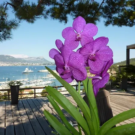 Home6 Bed & Breakfast Saint-Mandrier-sur-Mer